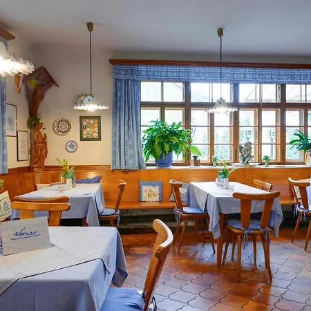 Hametner Mit Innviertlerhof Mit Direktem Zugang Zur Therme Mediterrana Durch Unseren Garten! 3* Bad Hall