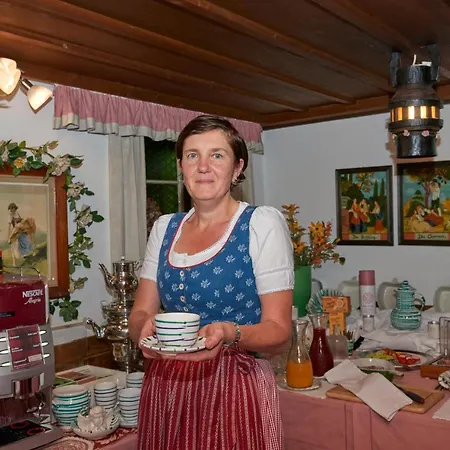 Hametner Mit Innviertlerhaus Mit Thermenzugang 3* Bad Hall