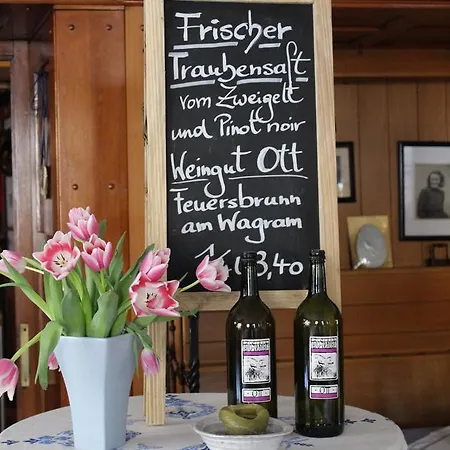 Hametner Mit Innviertlerhaus Mit Thermenzugang Bad Hall