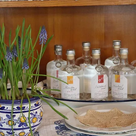 Hametner Mit Innviertlerhaus Mit Thermenzugang