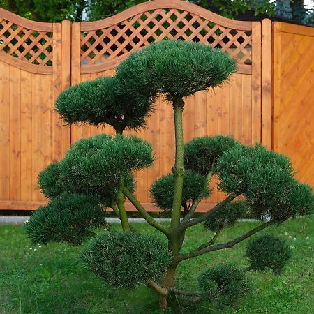 Hametner Mit Innviertlerhaus Mit Thermenzugang Bad Hall