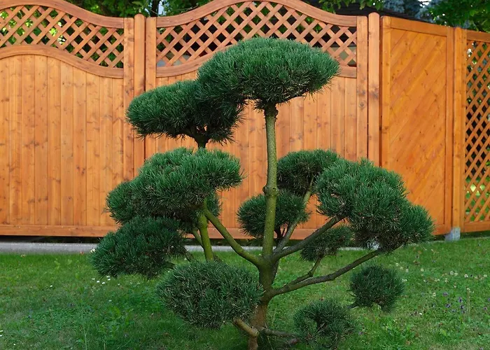 Hametner Mit Innviertlerhaus Mit Thermenzugang Бад-Халль